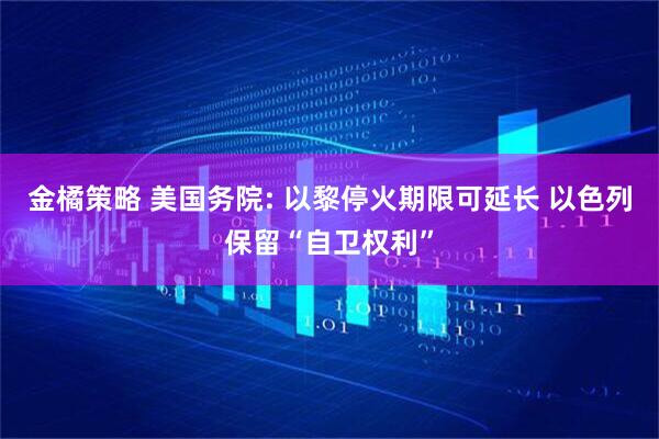 金橘策略 美国务院: 以黎停火期限可延长 以色列保留“自卫权利”