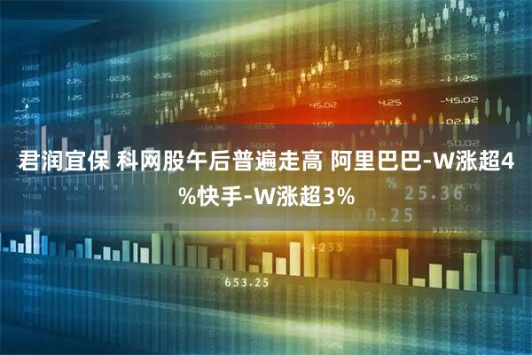 君润宜保 科网股午后普遍走高 阿里巴巴-W涨超4%快手-W涨超3%