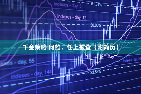 千金策略 何雄，任上被查（附简历）